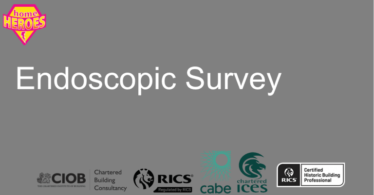 Endoscopic Survey – Cavity Wall Ties / Insulation